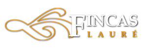 FINCAS LAURÉ